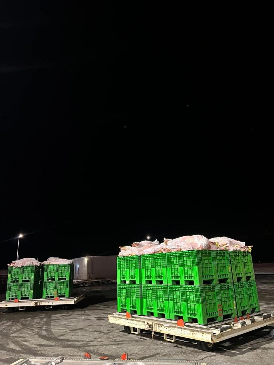 Sealed Halal Pallets